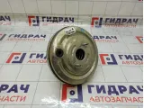 Усилитель тормозов вакуумный Lada Granta 8450110493