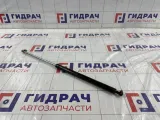 Амортизатор крышки (двери) багажника Lada Kalina 21118231011