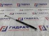 Амортизатор крышки (двери) багажника Lada Kalina 21118231011