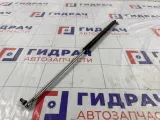 Амортизатор крышки (двери) багажника Lada Kalina 21118231011