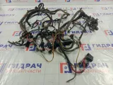 Проводка двигателя Lada Kalina 11193724010