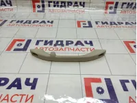 Ручка внутренняя потолочная Lada Kalina 2110820201010