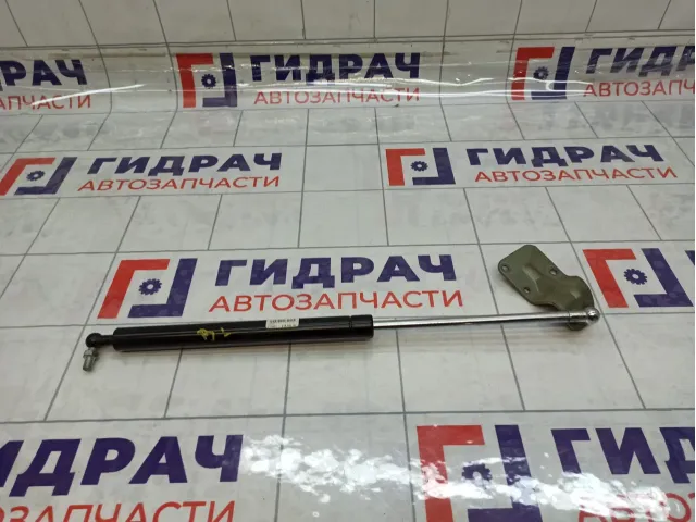 Амортизатор двери багажника левый Lada Kalina 21728231010