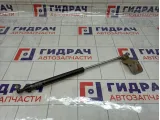 Амортизатор двери багажника левый Lada Kalina 21728231010