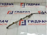 Рейка топливная (рампа) Lada Kalina 1119114401001