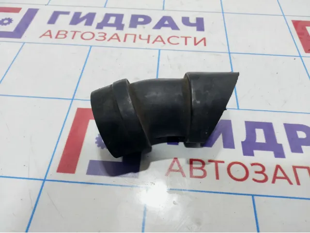 Патрубок воздушного фильтра Lada Kalina 2 21901109348