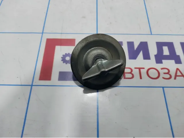 Болт крепления запасного колеса Lada Kalina 2 21100310504200