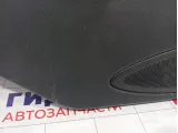 Обшивка двери задней левой Lada Kalina 219026202011