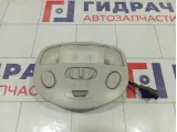 Плафон салонный Lada Kalina 11183714010