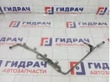 Топливная рампа (топливная рейка) Lada Kalina 1119114401001