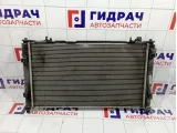 Радиатор основной Lada Kalina 2 21903130000811