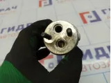 Осушитель системы кондиционирования Lada Kalina 2