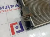 Радиатор основной Lada Largus 214102917R