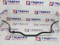 Стабилизатор передний Lada Largus 6001549309