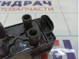 Катушка зажигания Lada Largus SPL1119