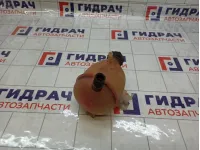 Бачок расширительный Lada Largus 8200686355