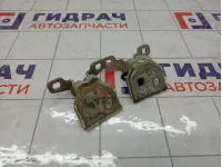 Петли двери задней левой Lada Largus