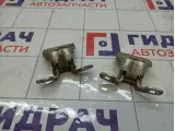 Петли двери задней правой Lada Largus