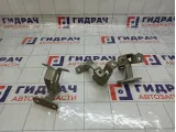 Петли двери багажника Lada Largus