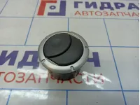 Дефлектор воздушный Lada Largus 687601987R