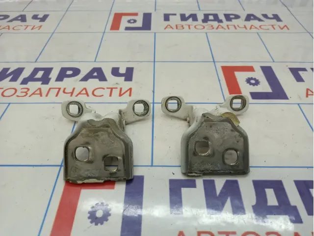 Петли двери задней левой Lada Largus