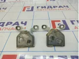 Петли двери задней правой Lada Largus