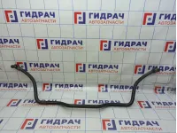 Стабилизатор передний Lada Largus 6001549309