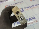 Клапан кондиционера Lada Largus 6001547682