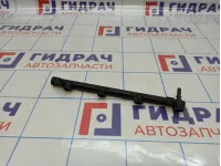 Рейка топливная (рампа) Lada Largus 8200139674