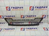 Решетка в бампер центральная Lada Largus 8450000249