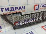 Решетка в бампер центральная Lada Largus 8450000249