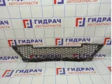 Решетка в бампер центральная Lada Largus 8450000249