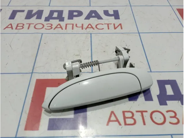 Ручка двери наружная левая Lada Largus 8200869055