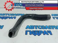 Патрубок воздушного фильтра Lada Largus 165569445R.