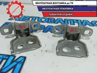 Петли двери задней левой Lada Largus 6001546883.