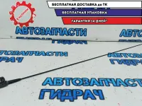 Антенна Lada Largus 7700773864.
