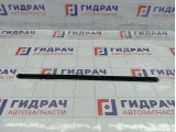 Накладка стекла заднего левого Lada Largus 8450000572