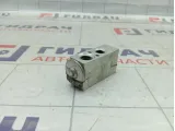 Клапан кондиционера Lada Largus 6001547682