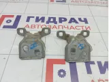 Петли двери задней левой Lada Largus