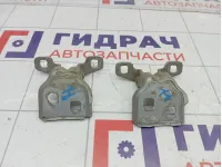 Петли двери задней левой Lada Largus