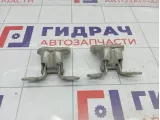Петли двери задней правой Lada Largus