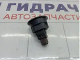 Выключатель AIR BAG Lada Largus 8450000262