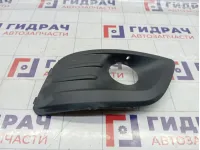 Рамка противотуманной фары Lada Largus 8450000253