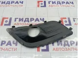 Рамка противотуманной фары Lada Largus 8450000253