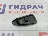 Ручка двери багажника левая Lada Largus 8200522398