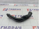 Патрубок воздушного фильтра Lada Largus 8200516253