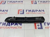 Накладка двери (крышки) багажника правая Lada Largus 8200490254