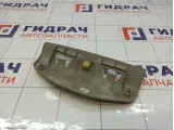 Накладка потолка левая Lada Largus 8200416339
