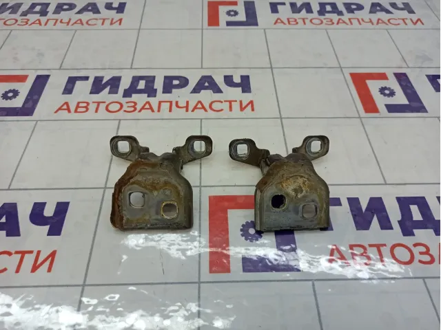 Петли двери передней правой Lada Largus