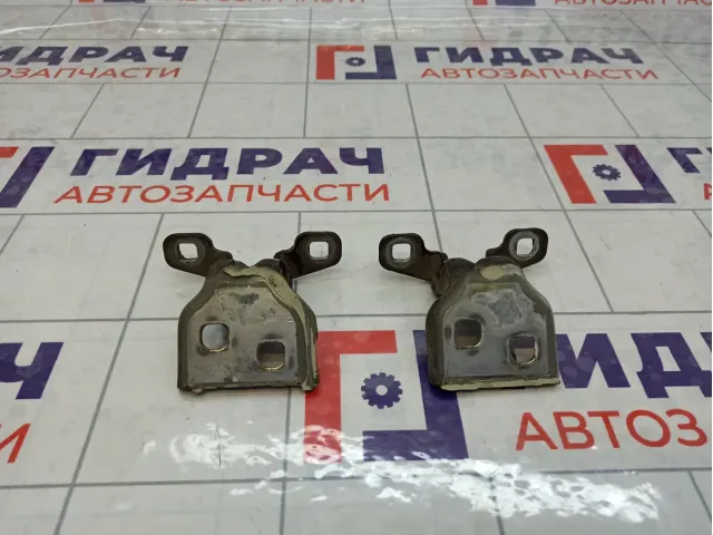 Петли двери задней левой Lada Largus